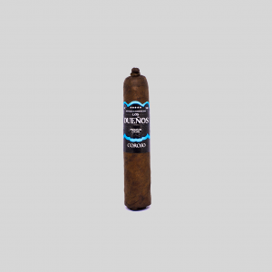 SHORT ROBUSTO COROJO